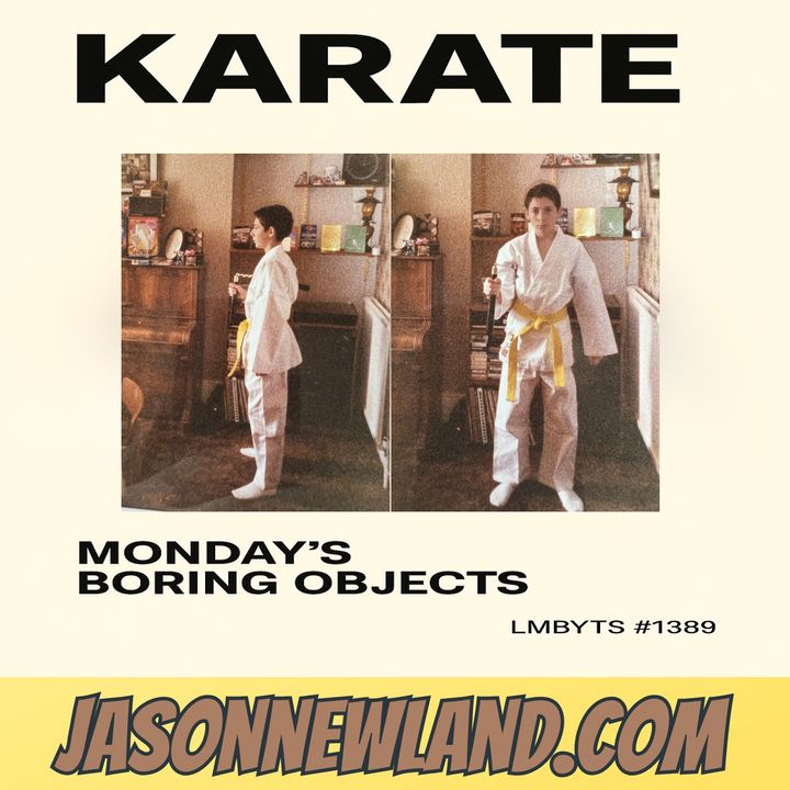 #1389 KARATE